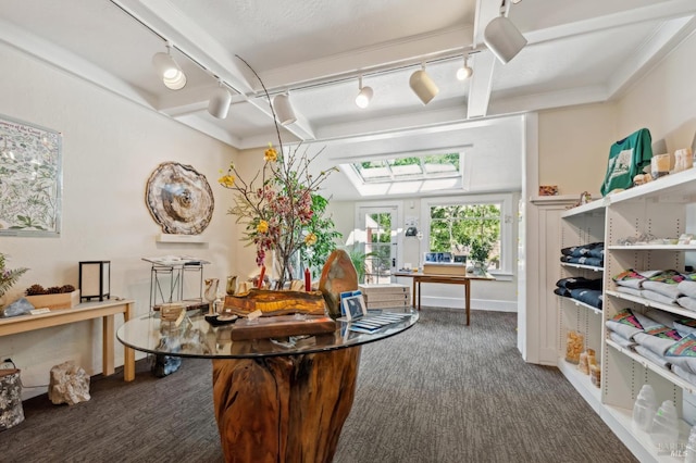 4100 Petrified Forest Rd, Santa Rosa, CA 94515 - office area featuring track lighting, carpet floors, and baseboards