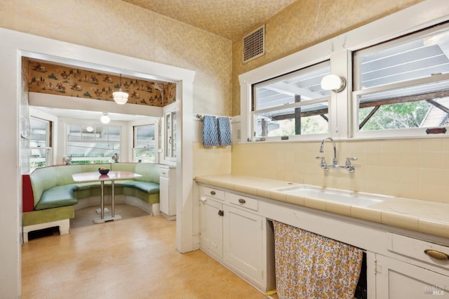 4100 Petrified Forest Rd, Santa Rosa, CA 94515 - bathroom featuring decorative backsplash and a sink
