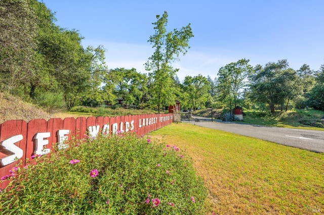 4100 Petrified Forest Rd, Santa Rosa, CA 94515 - view of yard