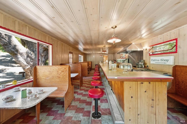 4100 Petrified Forest Rd, Santa Rosa, CA 94515 - kitchen with wood walls, healthy amount of natural light, tile patterned floors, wooden ceiling, and light countertops