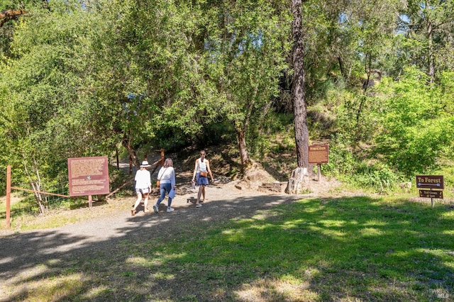 4100 Petrified Forest Rd, Santa Rosa, CA 94515 - view of green lawn