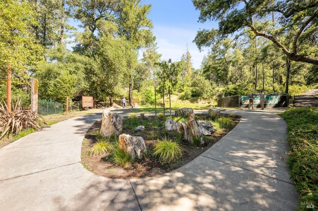 4100 Petrified Forest Rd, Santa Rosa, CA 94515 - surrounding community featuring view of wooded area