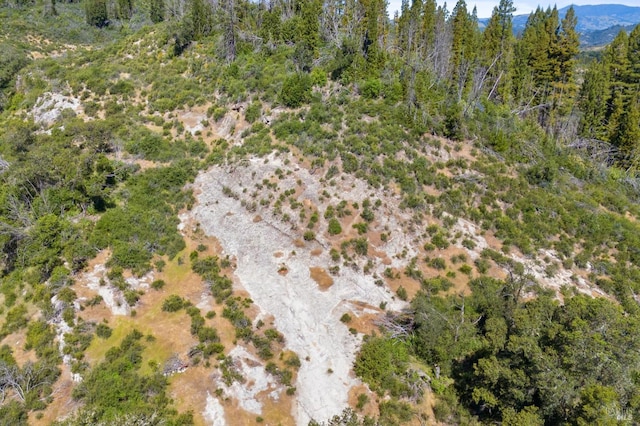 4100 Petrified Forest Rd, Santa Rosa, CA 94515 - bird's eye view