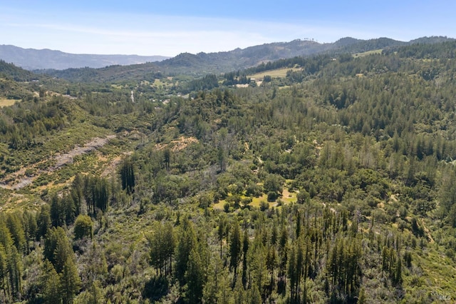 4100 Petrified Forest Rd, Santa Rosa, CA 94515 - mountain view featuring a heavily wooded area