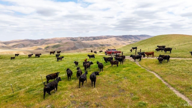 8050 Bitterwater Rd, Shandon, CA 93461 - mountain view featuring a pastoral area and rural landscape