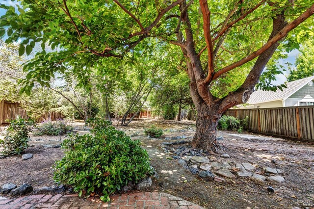 845 W K St, Benicia, CA 94510 - view of fenced backyard