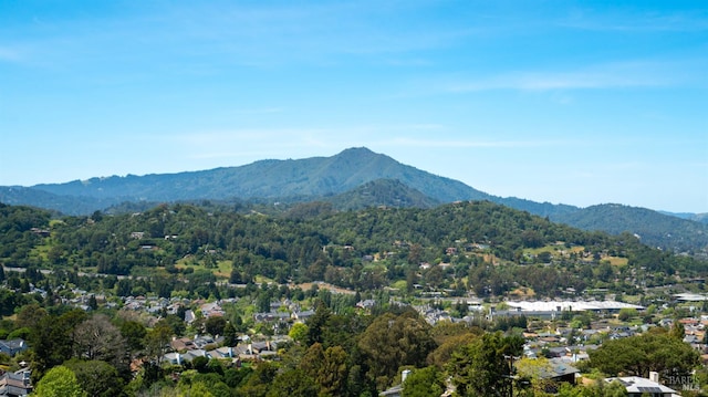 9 Endeavor Cv, Corte Madera, CA 94925 - view of mountain background