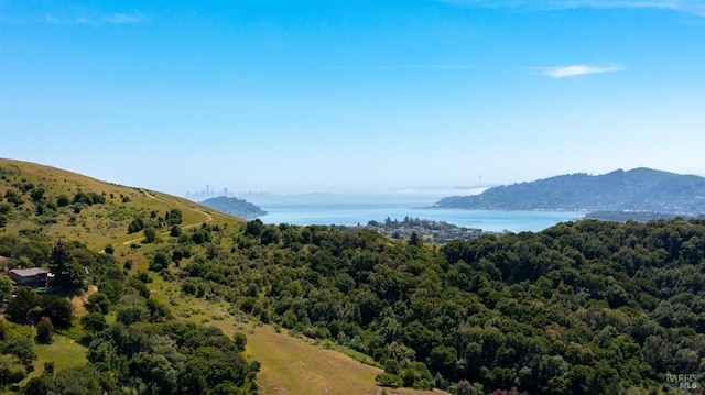 9 Endeavor Cv, Corte Madera, CA 94925 - view of mountain backdrop featuring a nearby body of water and a heavily wooded area