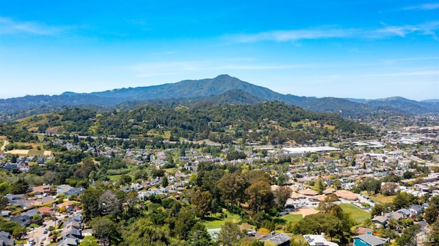 9 Endeavor Cv, Corte Madera, CA 94925 - aerial perspective of suburban area with mountains