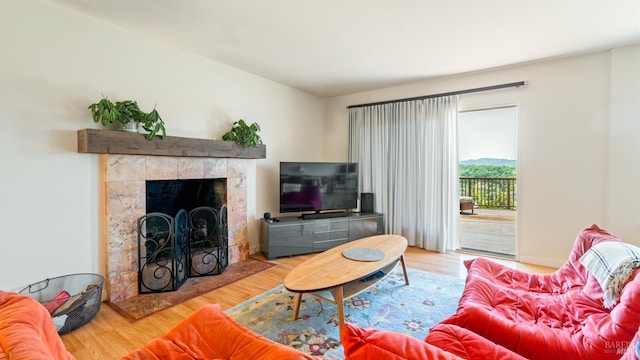 9 Endeavor Cv, Corte Madera, CA 94925 - living area featuring wood finished floors and a fireplace