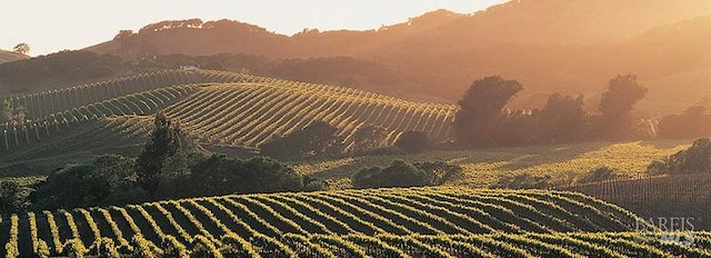 2001 Timberline Ln, Petaluma, CA 94954 - mountain view with farmland and rural landscape