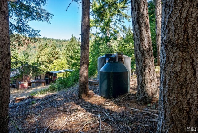 0 Low Gap Rd, Ukiah, CA 95482 - view of yard featuring a wooded view