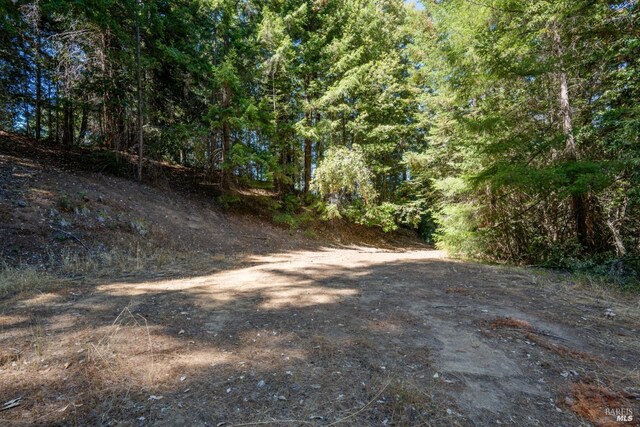 0 Low Gap Rd, Ukiah, CA 95482 - view of yard featuring a view of trees