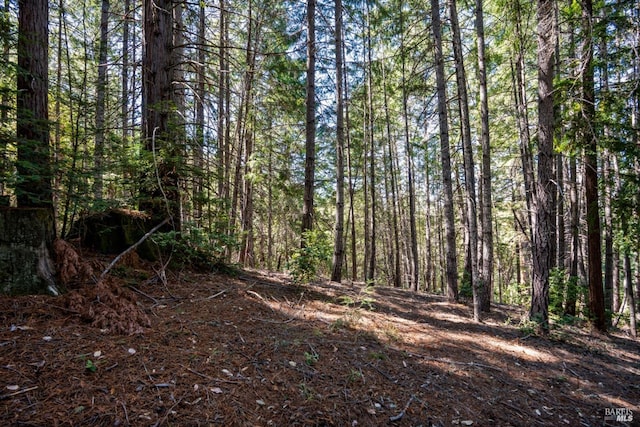 0 Low Gap Rd, Ukiah, CA 95482 - view of woods