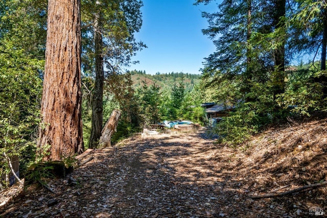 0 Low Gap Rd, Ukiah, CA 95482 - view of yard featuring a forest view