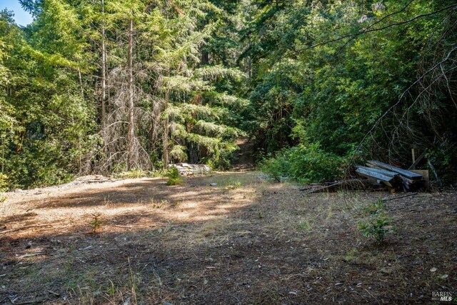 0 Low Gap Rd, Ukiah, CA 95482 - view of wooded area