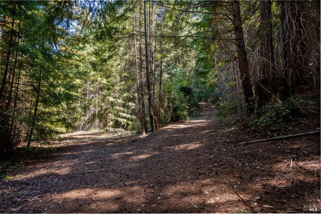 0 Low Gap Rd, Ukiah, CA 95482 - view of woods