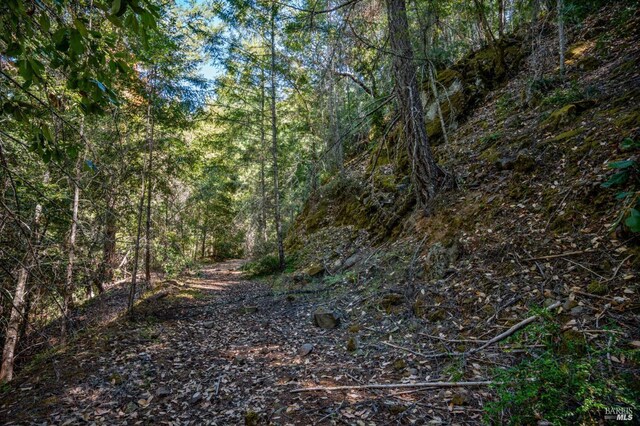 0 Low Gap Rd, Ukiah, CA 95482 - view of tree filled area
