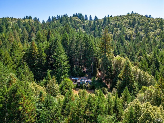 0 Low Gap Rd, Ukiah, CA 95482 - view from above of property with a heavily wooded area