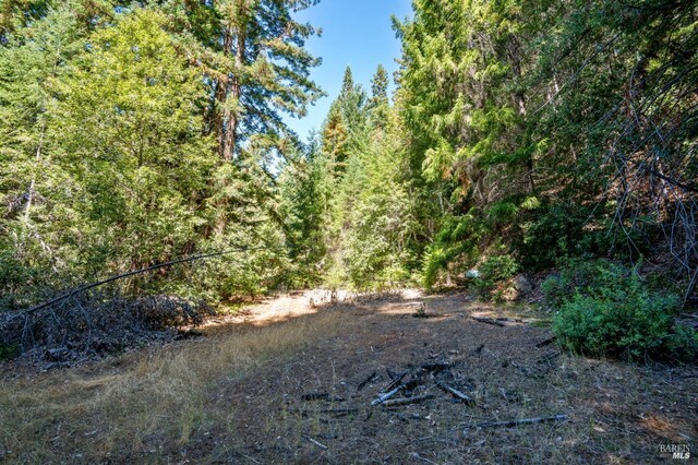 0 Low Gap Rd, Ukiah, CA 95482 - view of tree filled area