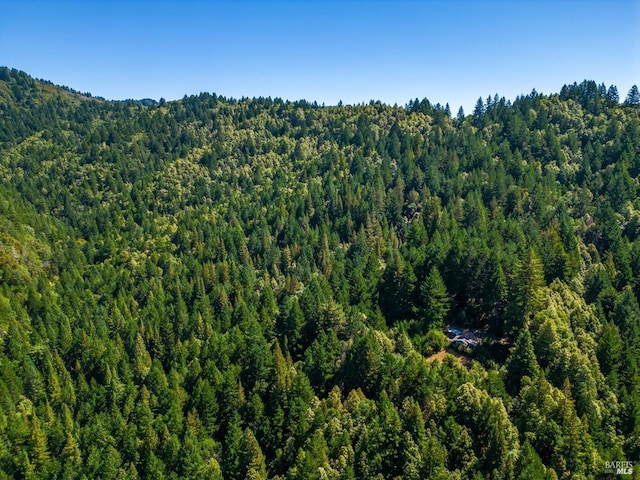 0 Low Gap Rd, Ukiah, CA 95482 - bird's eye view of a forest