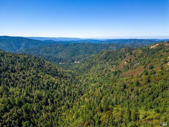 0 Low Gap Rd, Ukiah, CA 95482 - mountain view with a forest