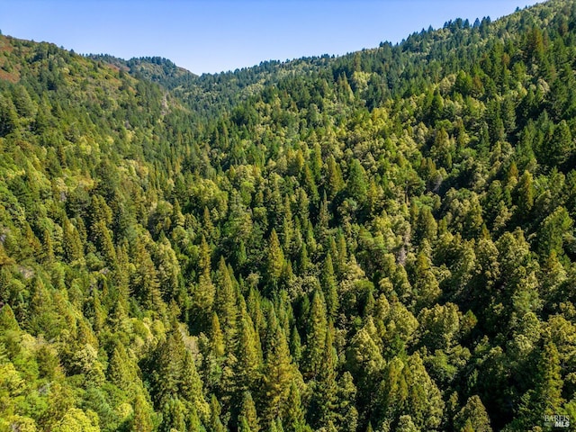 0 Low Gap Rd, Ukiah, CA 95482 - view of mountain background featuring a forest