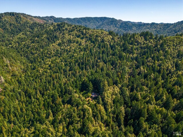 0 Low Gap Rd, Ukiah, CA 95482 - view of mountain backdrop featuring a forest