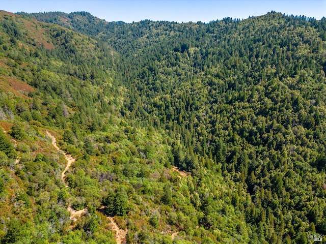 0 Low Gap Rd, Ukiah, CA 95482 - bird's eye view of a heavily wooded area and mountains