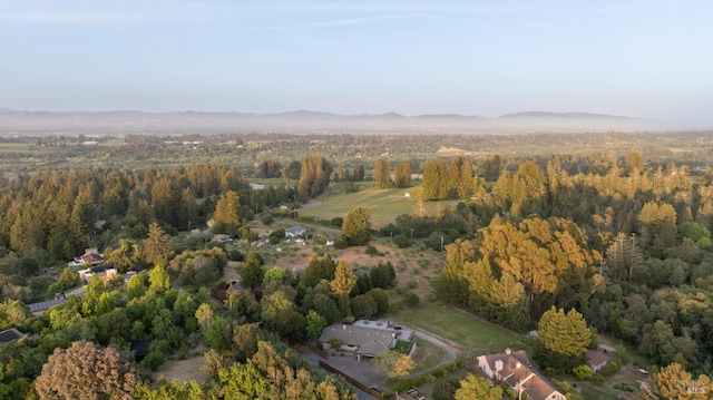 10505 Cherry Ridge Rd, Sebastopol, CA 95472 - aerial view of property and surrounding area featuring a forest and mountains