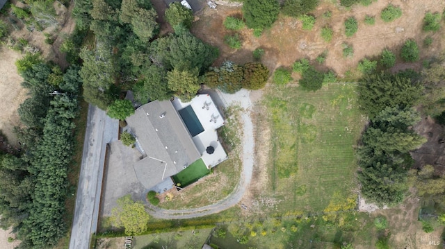 10505 Cherry Ridge Rd, Sebastopol, CA 95472 - aerial view of property and surrounding area