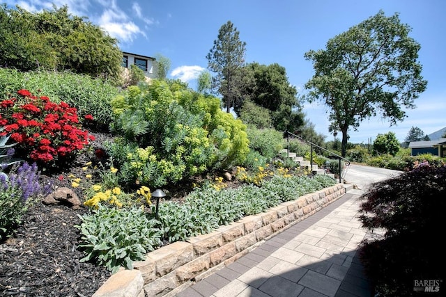 41 Salinas Ave, San Anselmo, CA 94960 - view of community