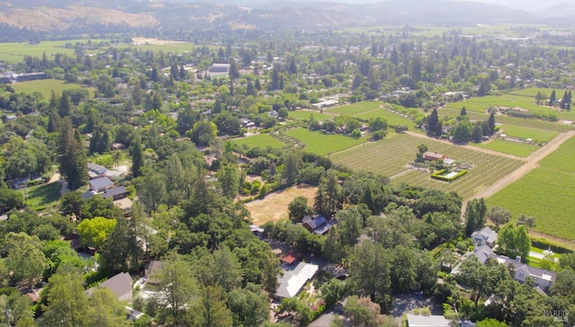 2120 Palmer Dr, Saint Helena, CA 94574 - aerial overview of property's location featuring rural landscape and large plots for crops