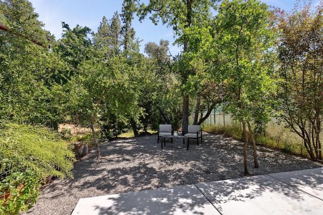 2120 Palmer Dr, Saint Helena, CA 94574 - view of patio / terrace