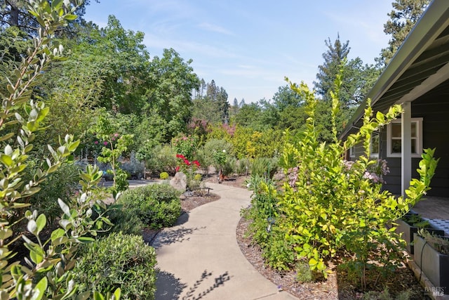 2120 Palmer Dr, Saint Helena, CA 94574 - view of home's community