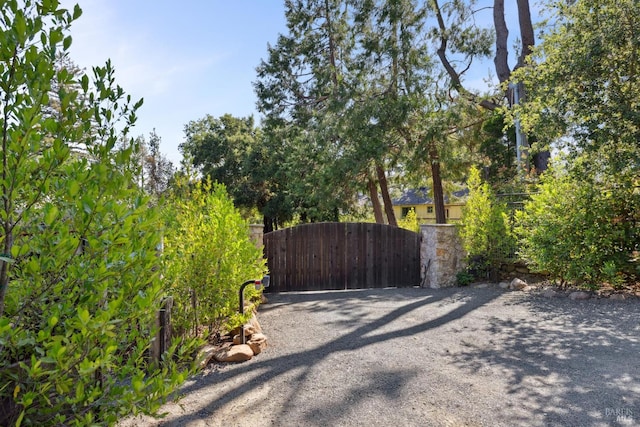 2120 Palmer Dr, Saint Helena, CA 94574 - view of gate