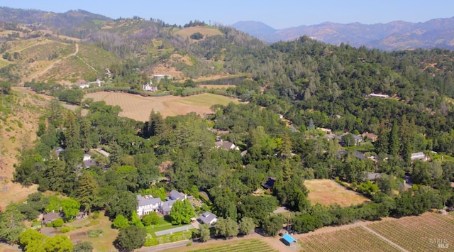 2120 Palmer Dr, Saint Helena, CA 94574 - aerial view of property's location featuring a mountain backdrop