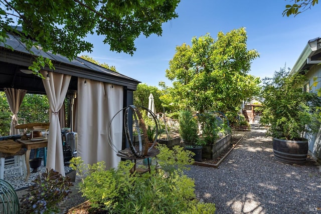 24 S University St, Healdsburg, CA 95448 - view of yard featuring a vegetable garden