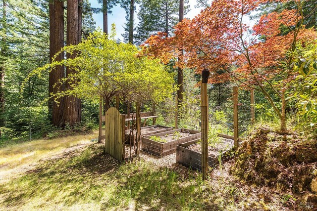 1655 Jonive Rd, Sebastopol, CA 95472 - view of yard featuring a vegetable garden