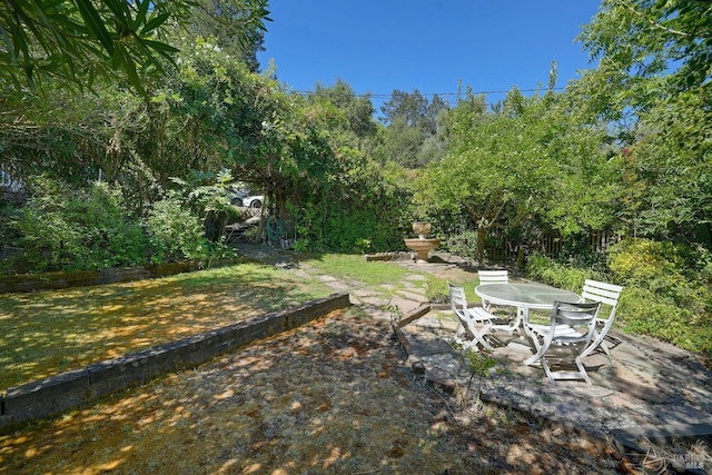 1423 Foothill Blvd, Calistoga, CA 94515 - view of yard with a patio