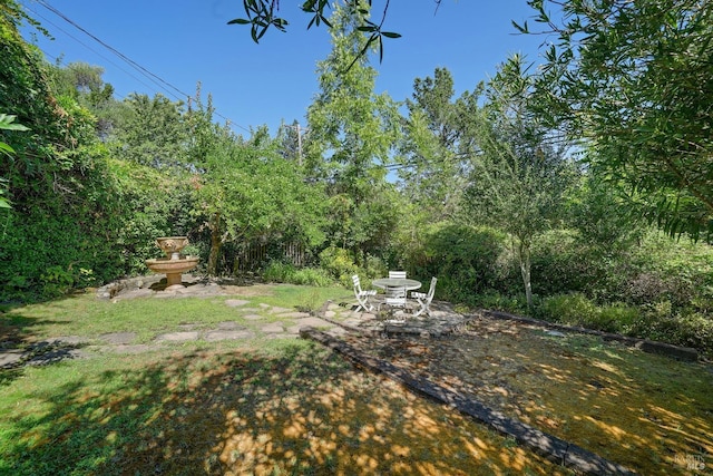 1423 Foothill Blvd, Calistoga, CA 94515 - view of yard with a patio