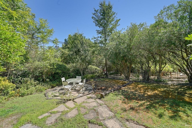 1423 Foothill Blvd, Calistoga, CA 94515 - view of green lawn featuring a patio