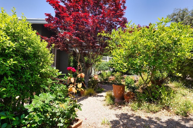 15 Upland Ln, Novato, CA 94945 - view of yard