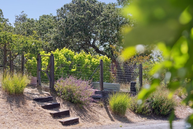 15 Upland Ln, Novato, CA 94945 - view of yard
