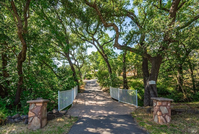 1114 Mount George Ave, Napa, CA 94558 - view of road