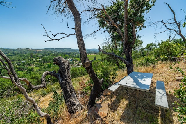 1114 Mount George Ave, Napa, CA 94558 - view of yard