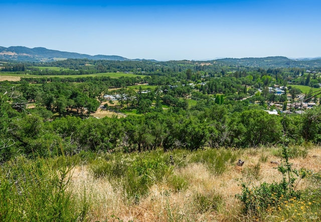 1114 Mount George Ave, Napa, CA 94558 - mountain view