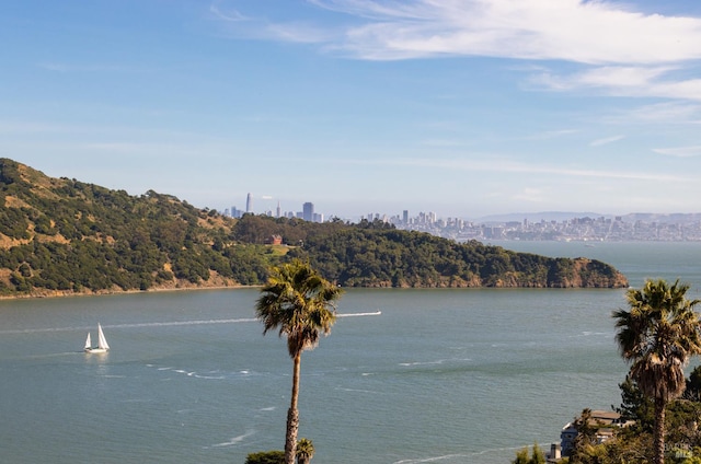 2215 Vistazo St E, Tiburon, CA 94920 - water view