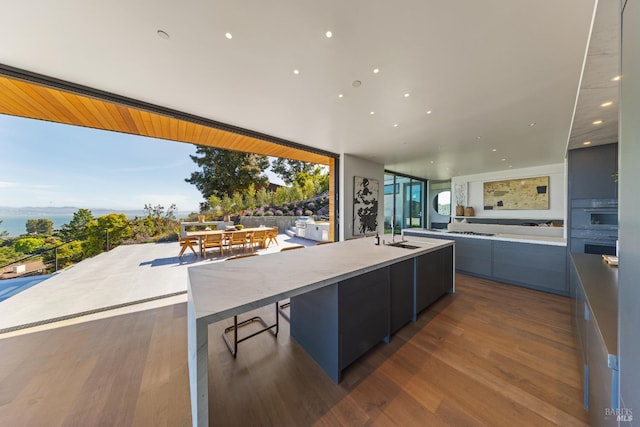2215 Vistazo St E, Tiburon, CA 94920 - kitchen featuring modern cabinets, a sink, double wall oven, a large island, and wood finished floors