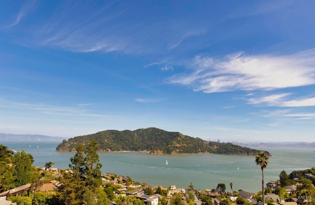 2215 Vistazo St E, Tiburon, CA 94920 - water view featuring a mountain backdrop
